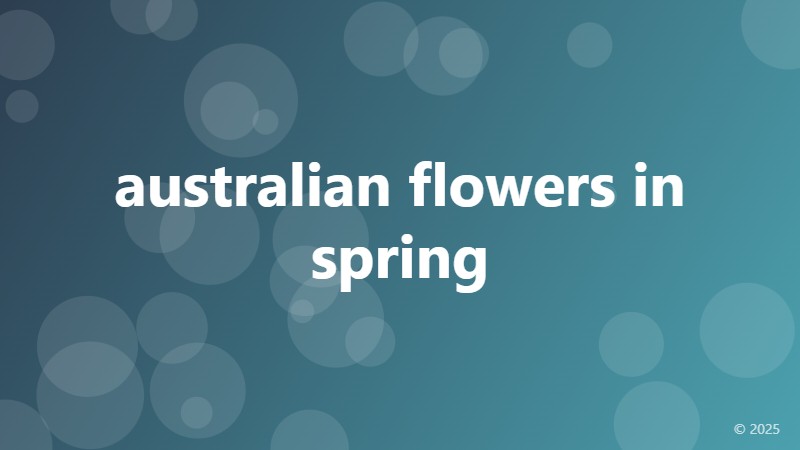 australian flowers in spring
