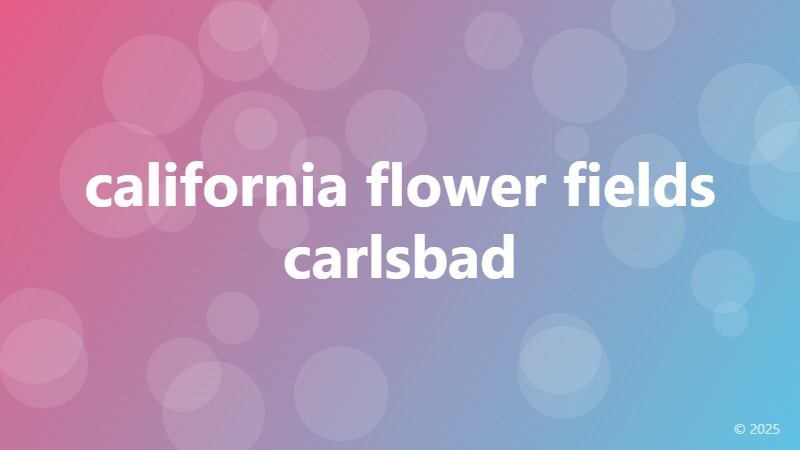 california flower fields carlsbad