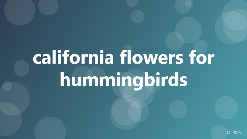 california flowers for hummingbirds