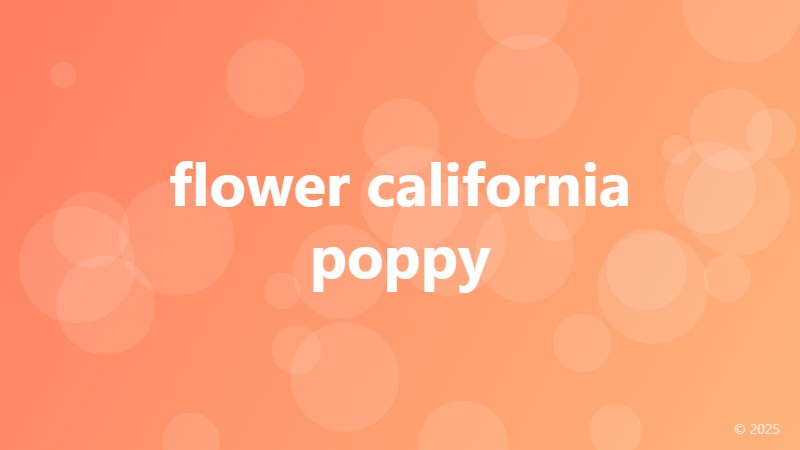 flower california poppy