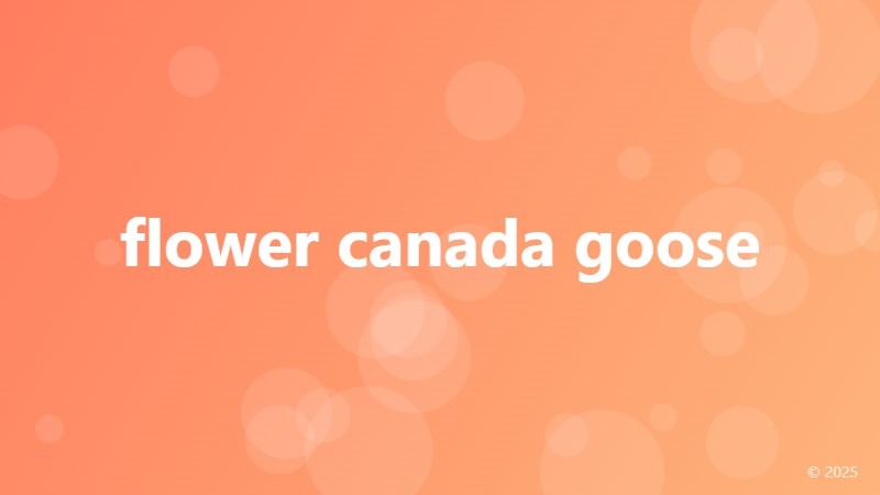 flower canada goose