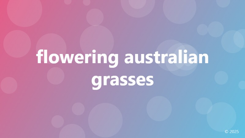 flowering australian grasses